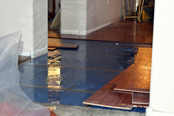 Professional Burst Pipe Cleanup technician working in Big Pine Key, FL